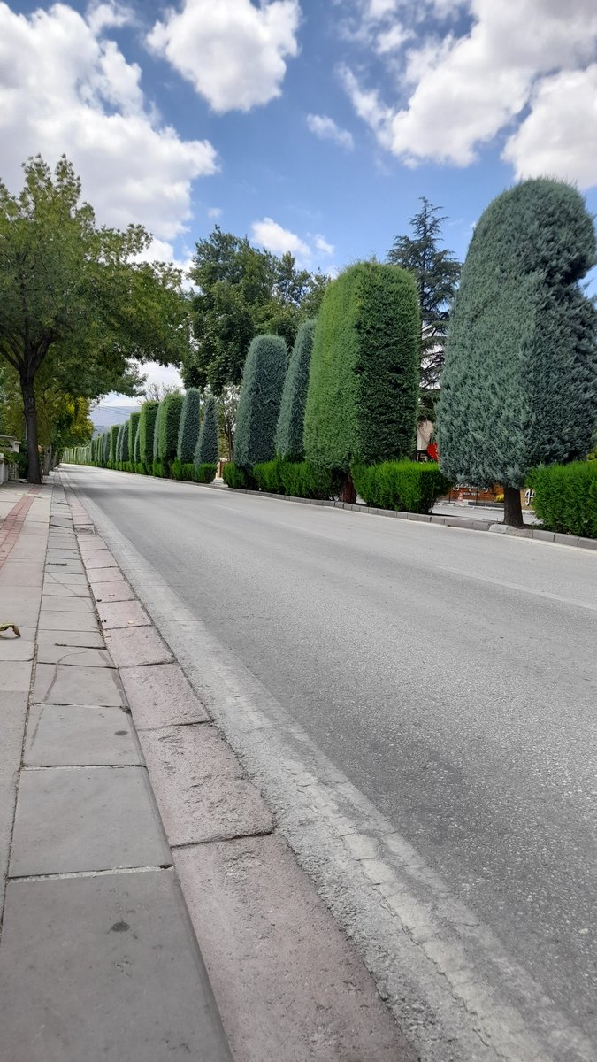 Sevişelim #konya #konyagay