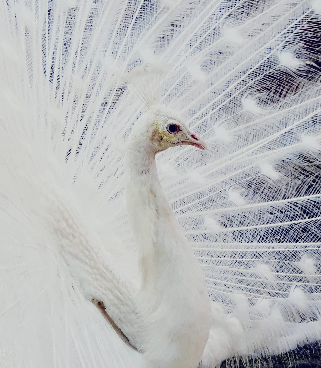 A moment on Year 7 Camp…