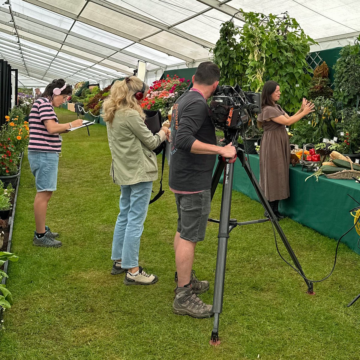 BBC Gardeners World tweet media