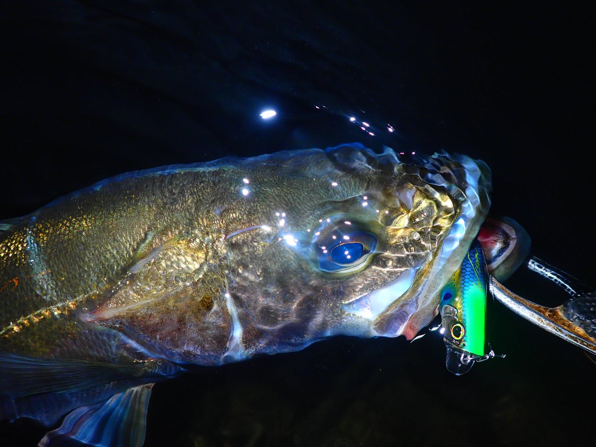 おかだ ゆうき on X