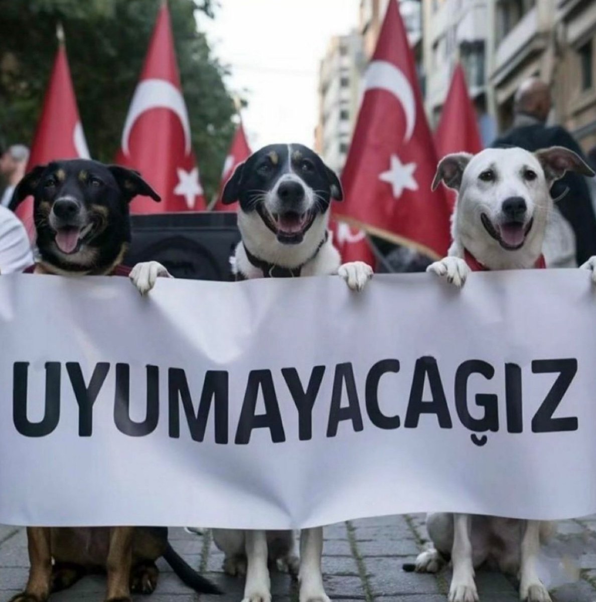 1karabalik_'s tweet photo. #YasaDeğilCinayet
#YasayıGeriÇek #KatliamaHayırDe #Katliamamoyumhayır #katliamadurde #SokaktayimYanindayim https://t.co/ugei98hl1J