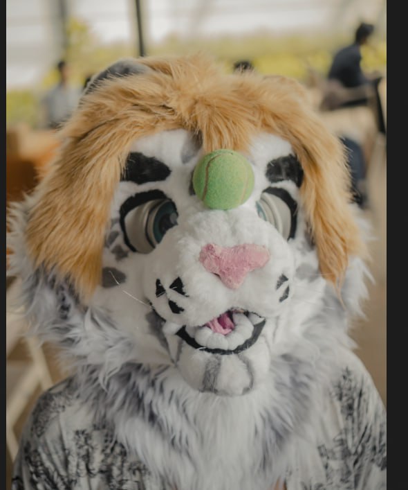 Tokuda || טוקודא tweet media