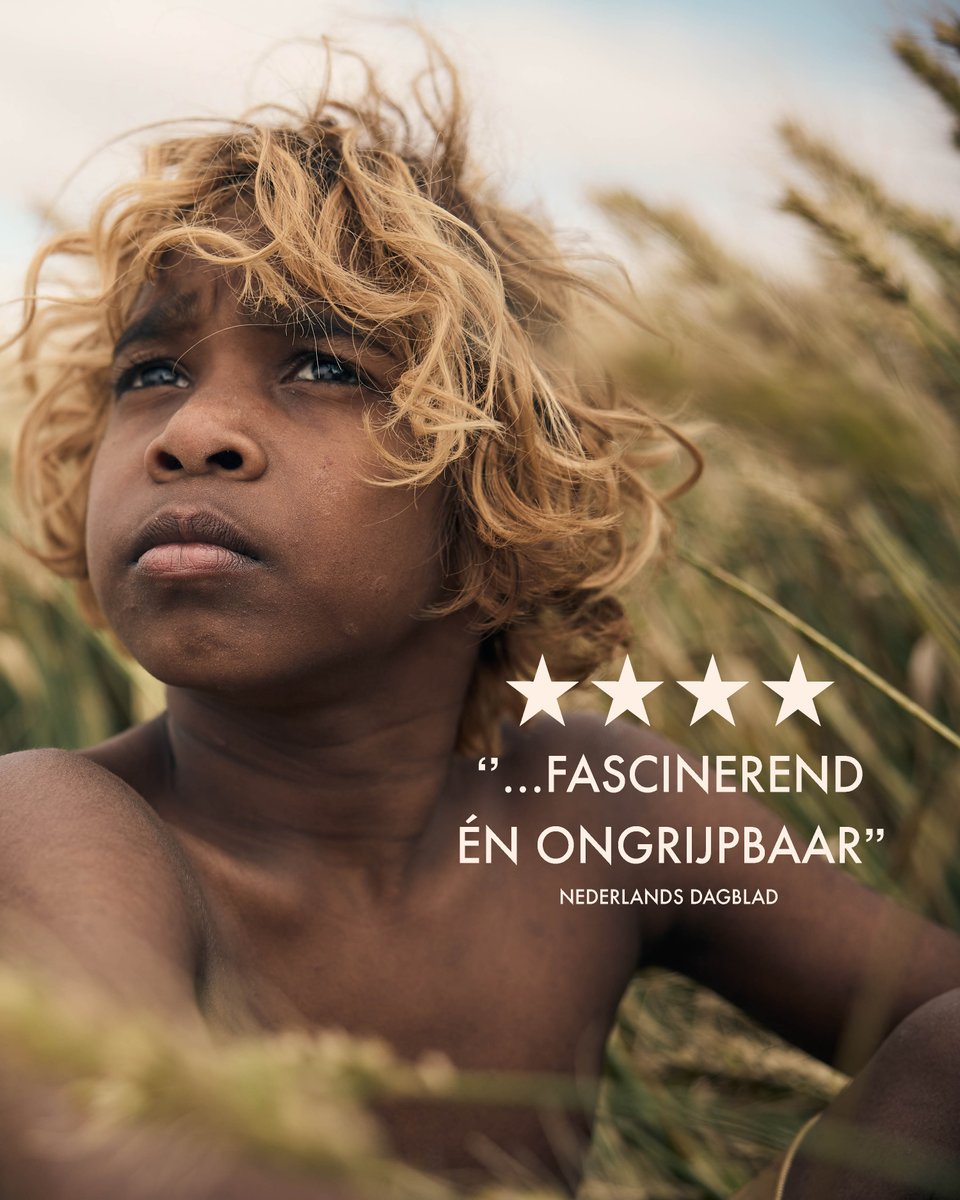 Paradiso Films tweet media