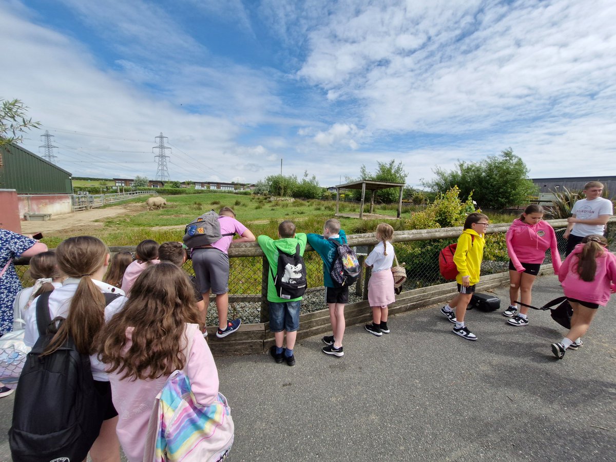 Rhigos Primary tweet media