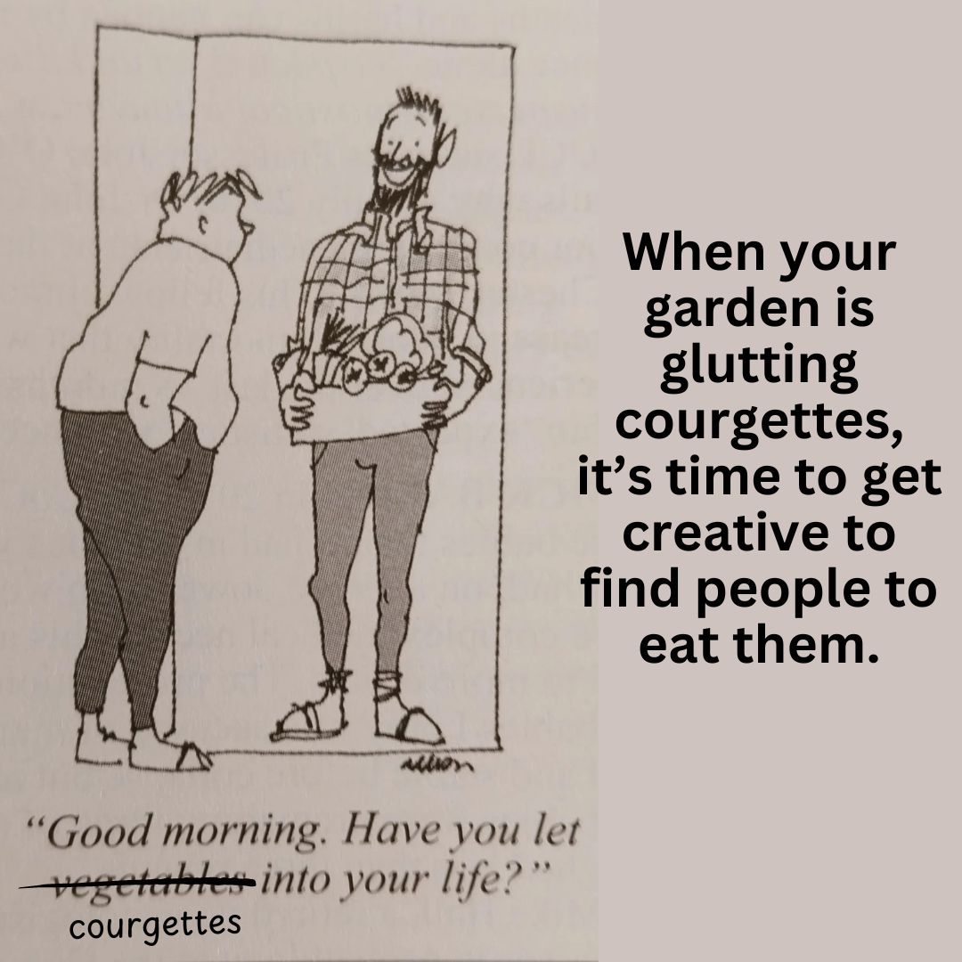 Egino Emerging tweet media