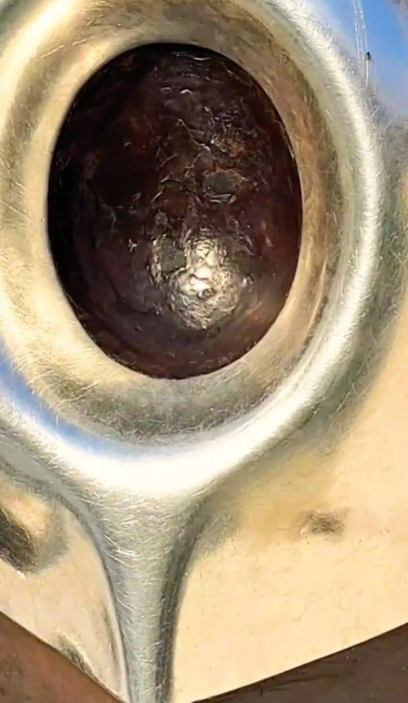 🩷❤️اُمِ نُورِ جَہاں ❤️🩷 tweet media