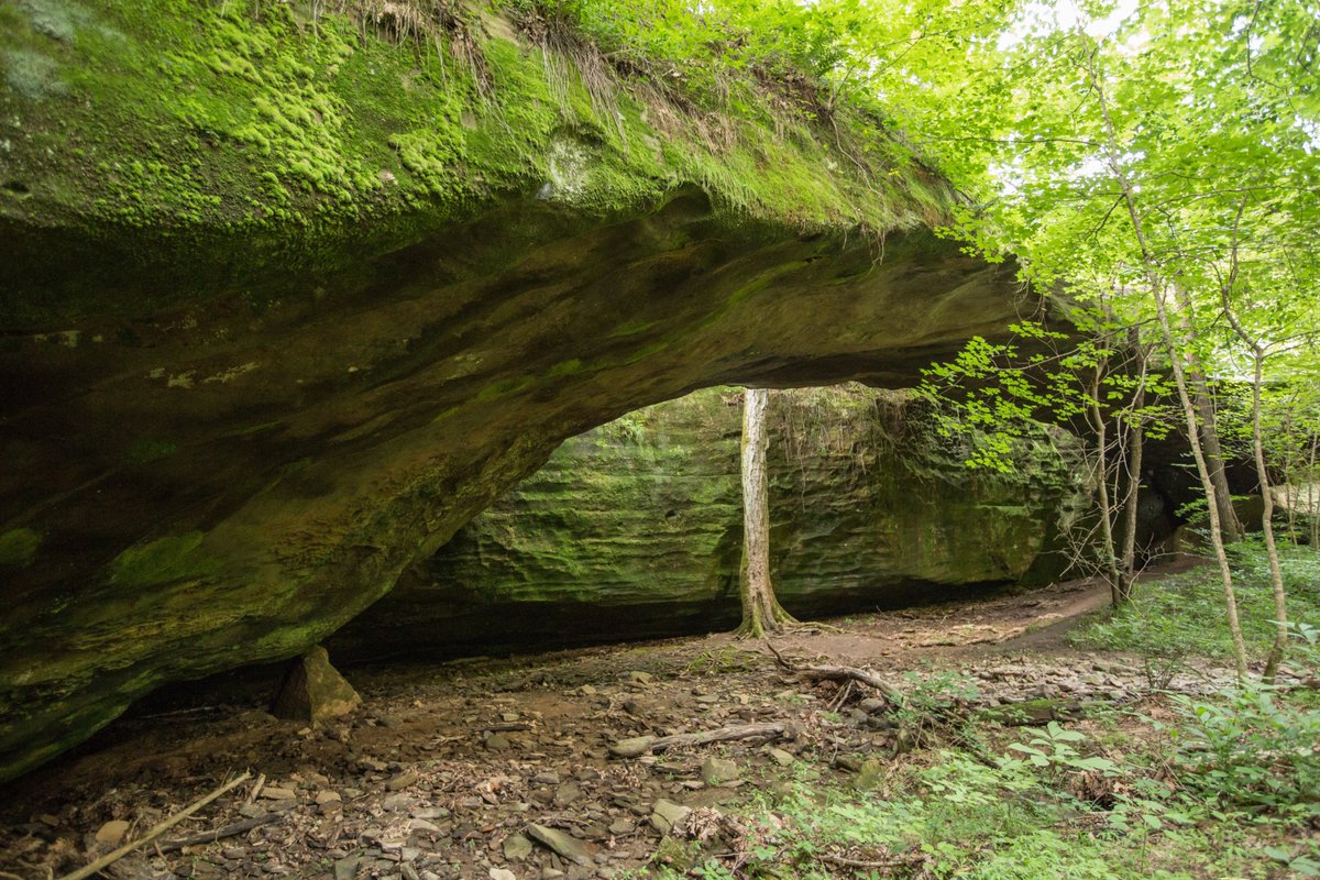 Conservancy in KY tweet media