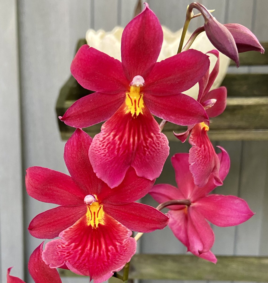 The two extreme ends ~
Fire loses to water
Ego loses to humility
Anger loses to calmness
And hate ~ loses to love