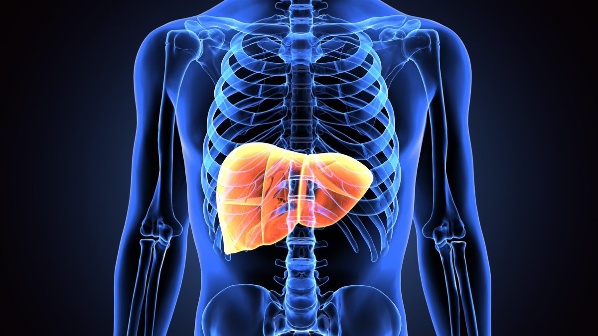 Université Paris Cité (@univ_paris_cite) on Twitter photo #Recherche | Découvrez LIVER-TRACK, un projet coordonné par le professeur @RatouE qui devrait permettre à terme de prédire précocement les complications de la cirrhose du foie.
➡ u-paris.fr/liver-track-la…
<a href="/InsermIDF/">Inserm Île-de-France</a> <a href="/univ_spn/">Université Sorbonne Paris Nord</a> <a href="/APHP/">Assistance Publique – Hôpitaux de Paris (AP-HP)</a> #Recherche | Découvrez LIVER-TRACK, un projet coordonné par le professeur @RatouE qui devrait permettre à terme de prédire précocement les complications de la cirrhose du foie.
➡ u-paris.fr/liver-track-la…
<a href="/InsermIDF/">Inserm Île-de-France</a> <a href="/univ_spn/">Université Sorbonne Paris Nord</a> <a href="/APHP/">Assistance Publique – Hôpitaux de Paris (AP-HP)</a>