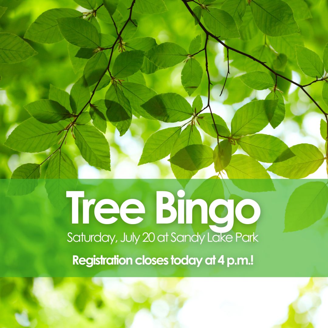 EcologyAction's tweet photo. Registration for Tree Bingo at #SandyLake closes today at 4 p.m.!

Join the EAC and @OurHRMAlliance this Saturday at 9:30 a.m. for this easy, family-friendly hike where you'll learn about our native trees and how to identify them! 

Visit https://t.co/yjCovmjF82 to register. https://t.co/e3dZsUAhap