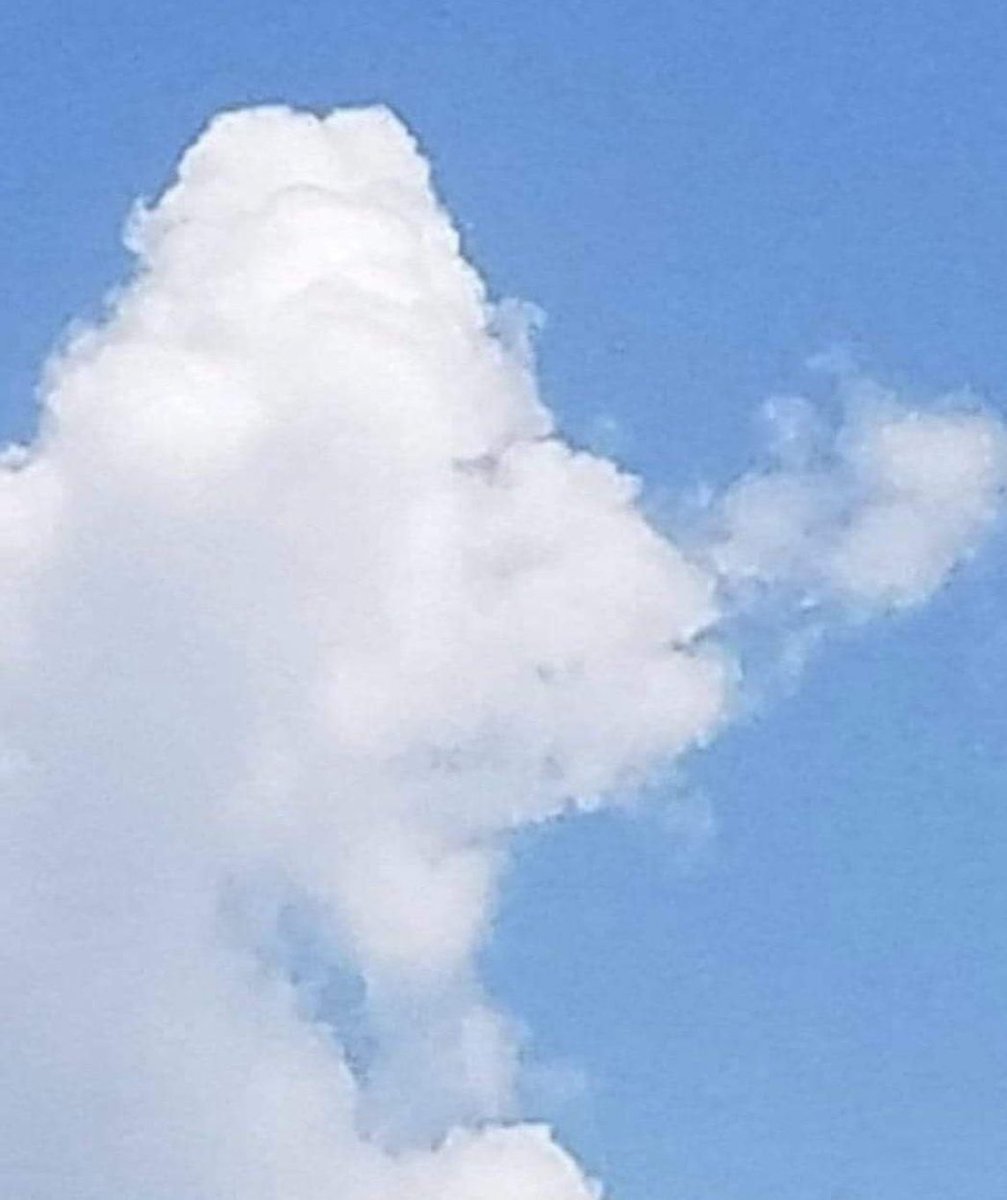 mentes brillantes tweet media