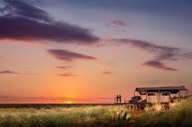 cedarberg's tweet photo. A sleep-out in Africa takes on a new romantic, and impressive quality while on safari. 

Many camps feature 'Star-beds' that provide all the luxury and comfort of the lodge, in a supremely private setting. 

Fall asleep under the stars to the sounds of the African bush. https://t.co/Y5WDJBeDKT