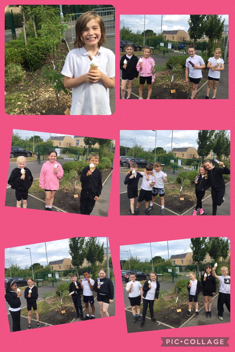 RTPS Y3B tweet media