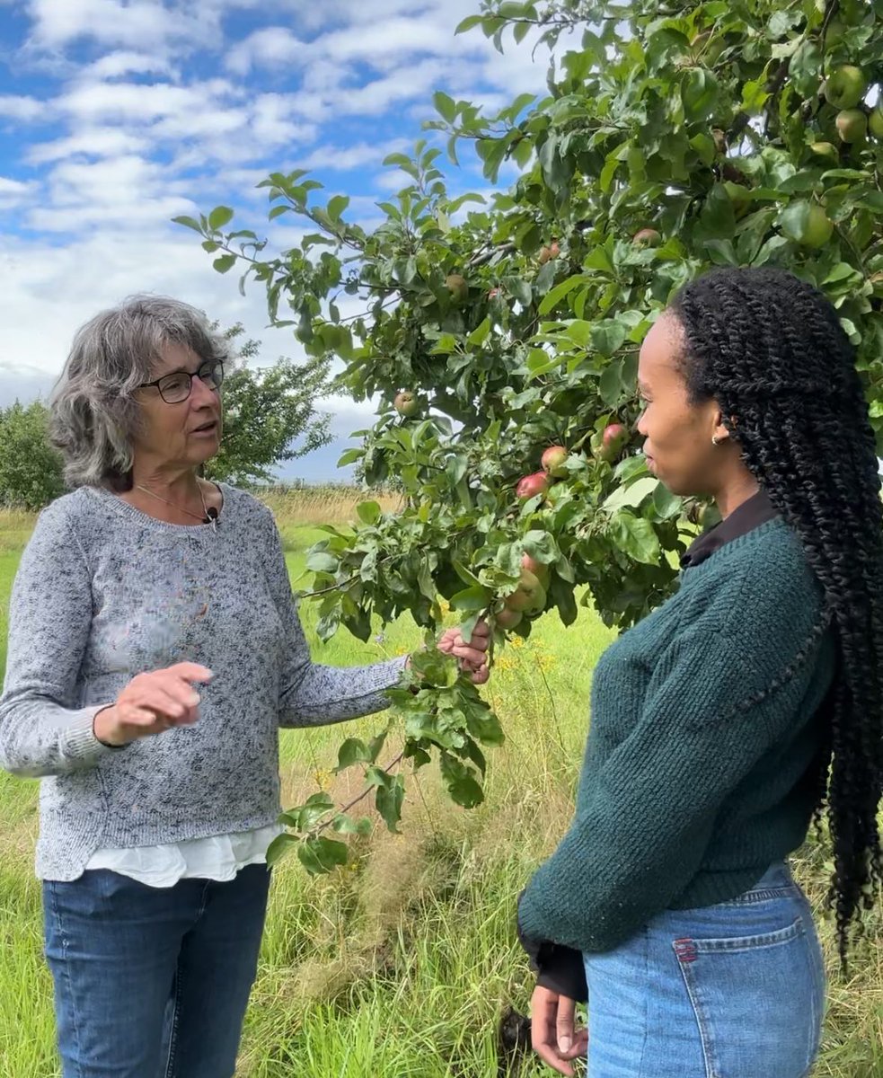 Rachel Nduati tweet media