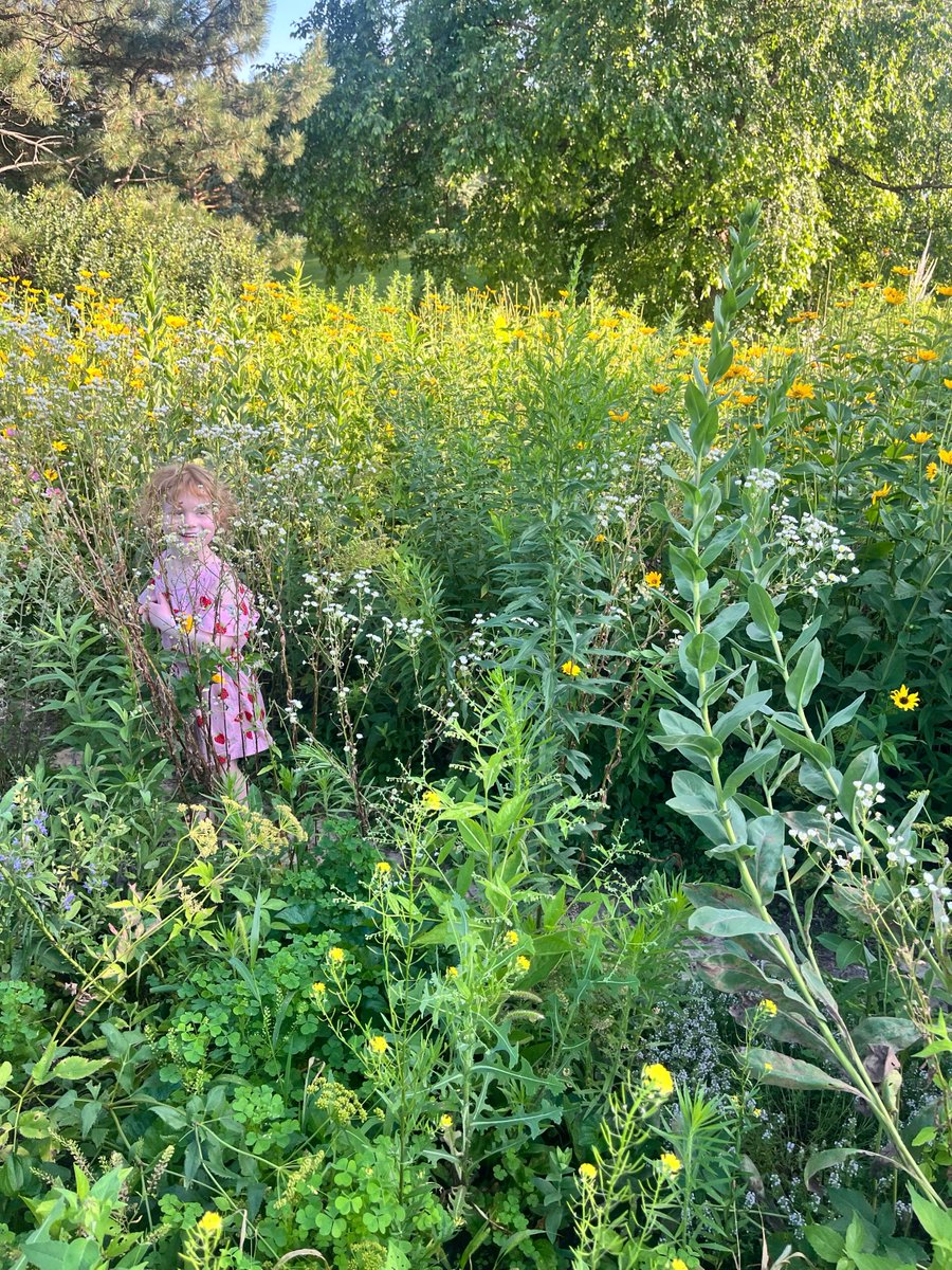 patiomensch.bsky.social tweet media