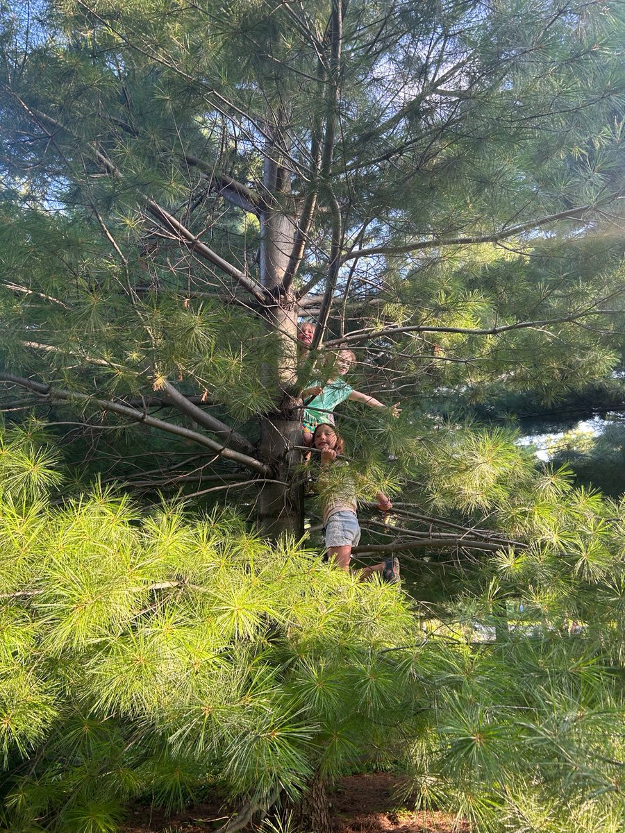 patiomensch.bsky.social tweet media