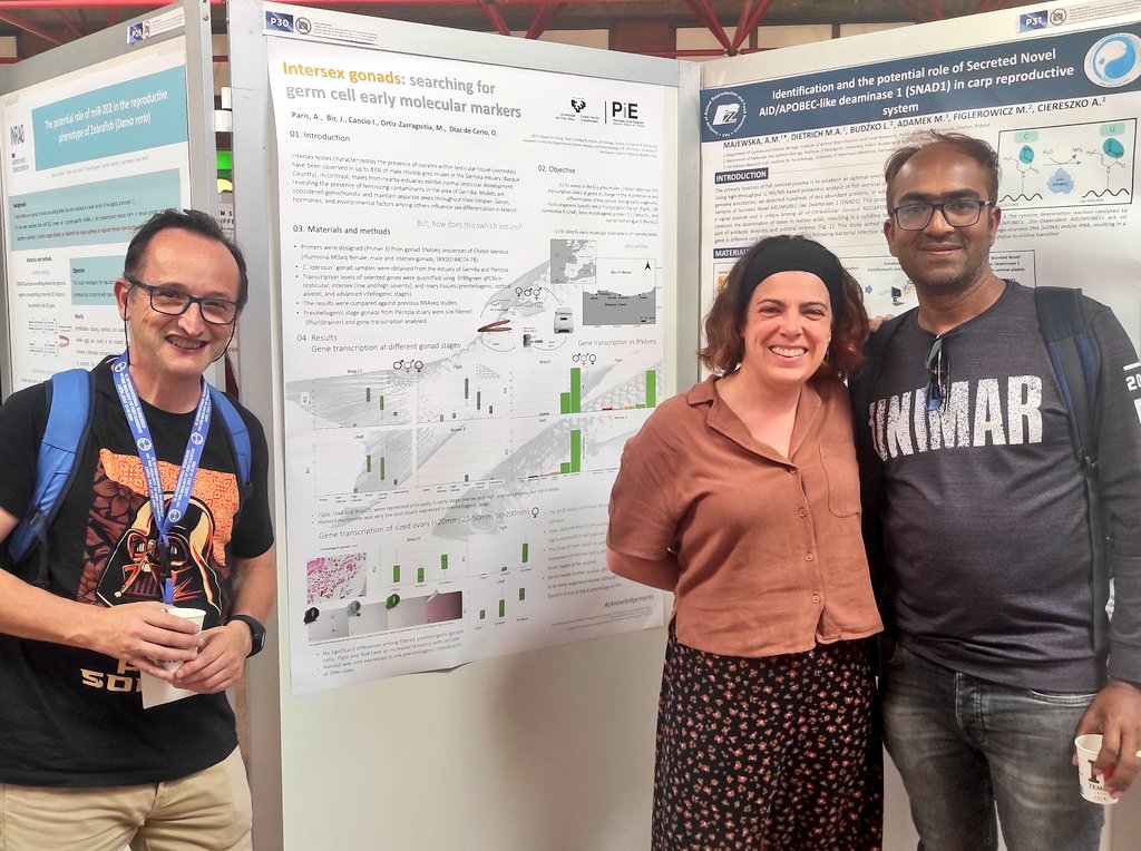 Oihane Diaz de Cerio tweet media