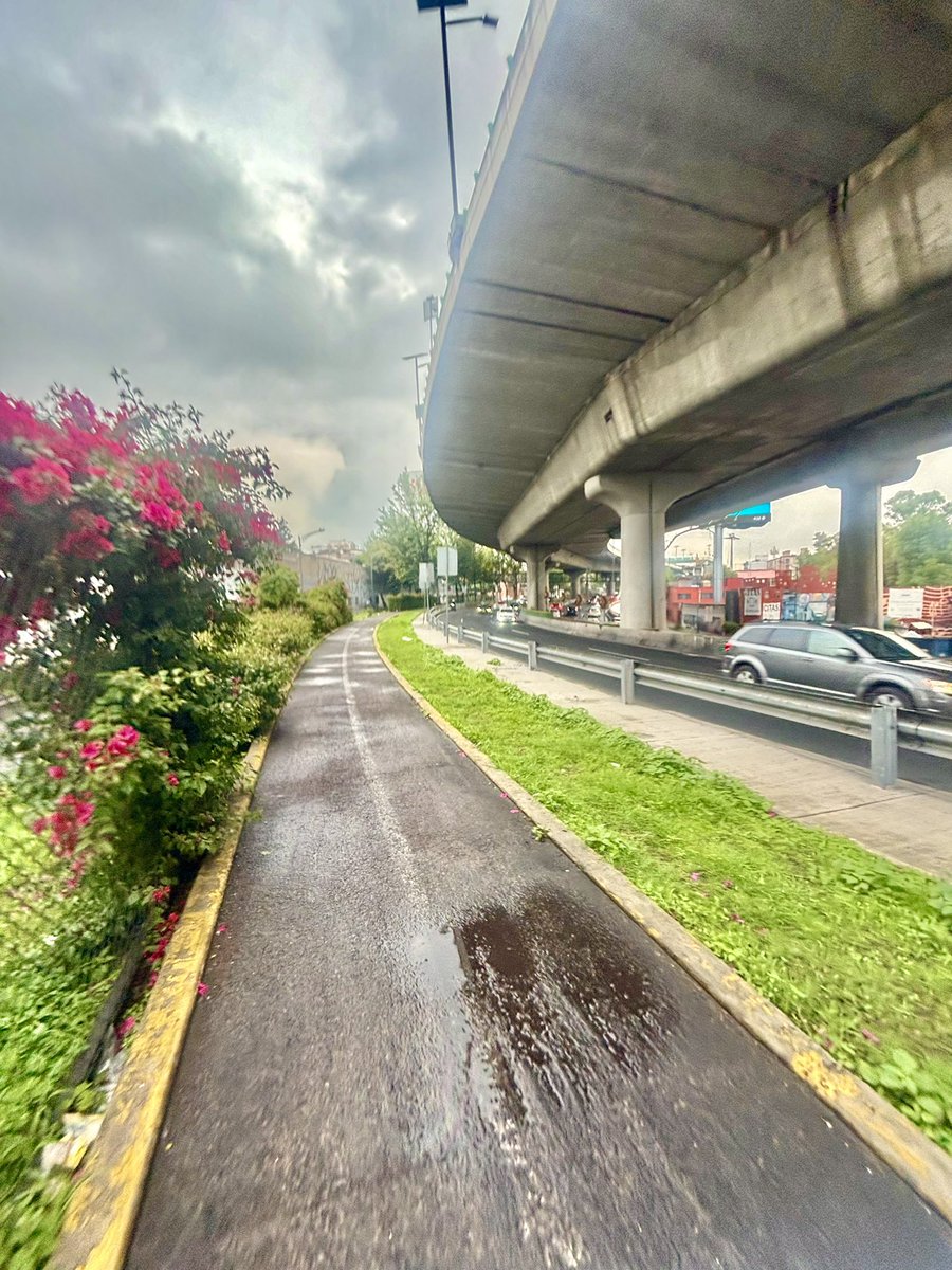 RicardoMch10's tweet photo. Bonito Jueves Atletas🤗10k se entreno de nuevo con lluvia🌧️#CorrerEsVid 🏃‍♂️ #AquiYaSeCorrio
#YoElegiCorrer #FalconsRunners #TemploRunner @KMSxELA @ComuniRunners @YogaWithCriss #EntreRunners #CalaveraRunners 
@ManicomioRunner @ReyLoborebelion @Aca_Runners @MeEncantaCorrer https://t.co/dLoFNhJ9qL