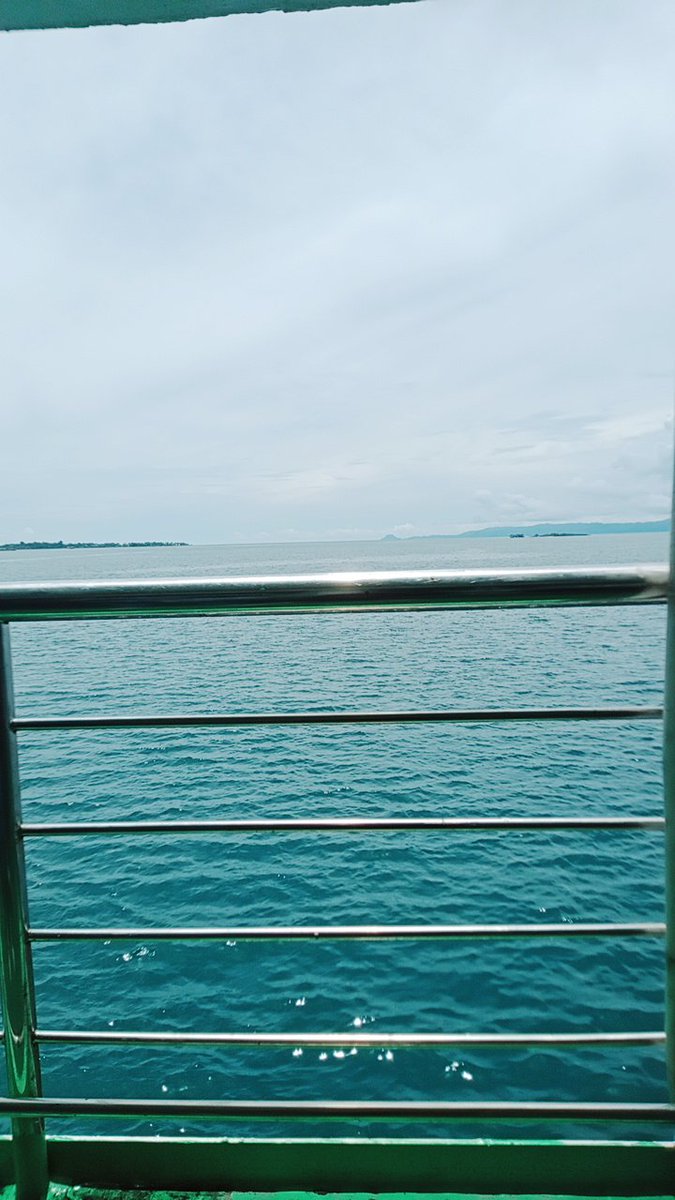 🌊