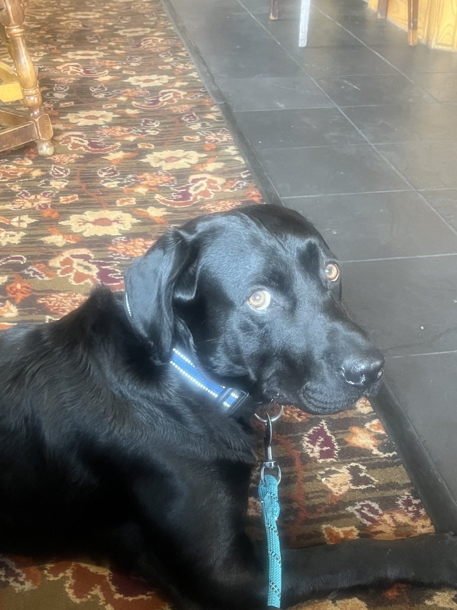 AssistanceOscar's tweet photo. No pork scratchings. 🙁🙁🙁🙁 https://t.co/ej0vAqBe8A