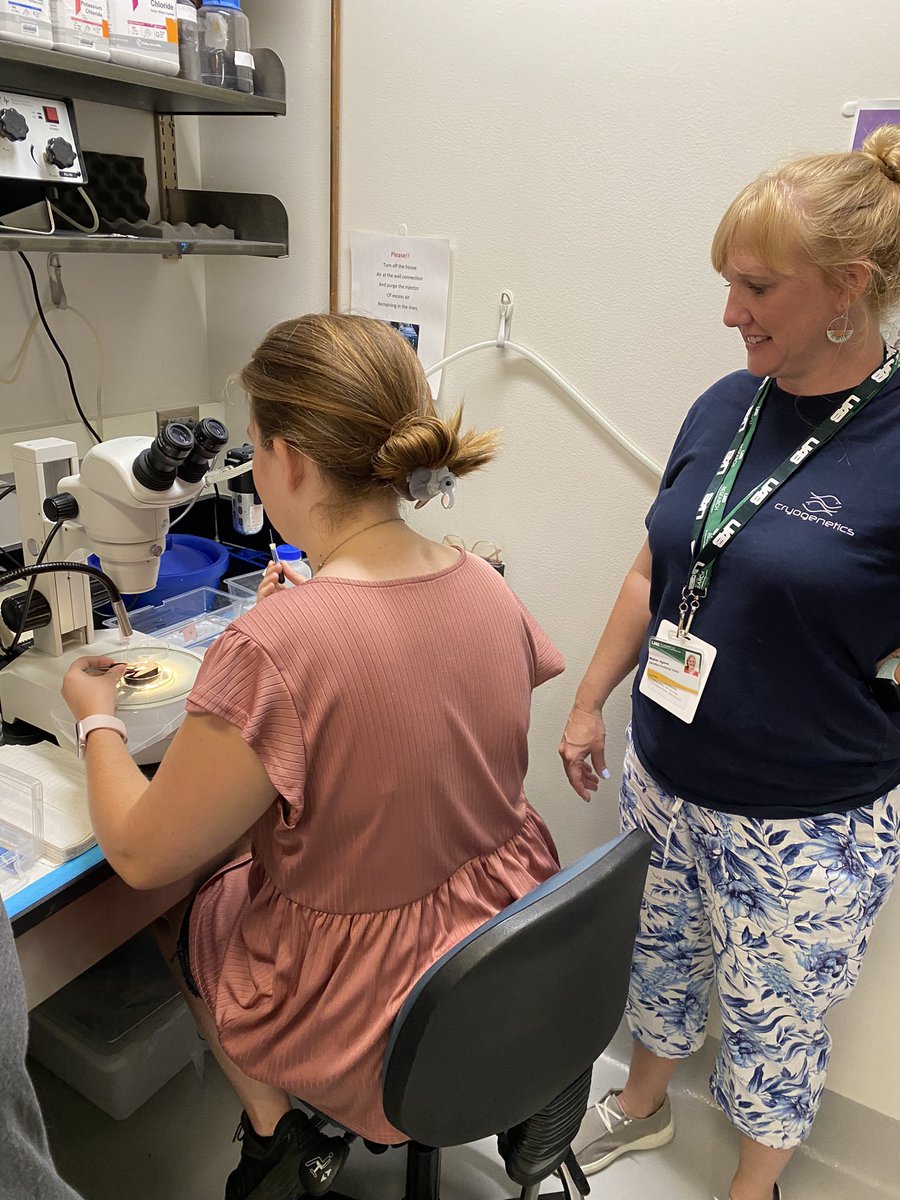 zfishUAB's tweet photo. Cryo/IVF day! #zebrafishhusbandryshortcourse https://t.co/3dsy134SrM