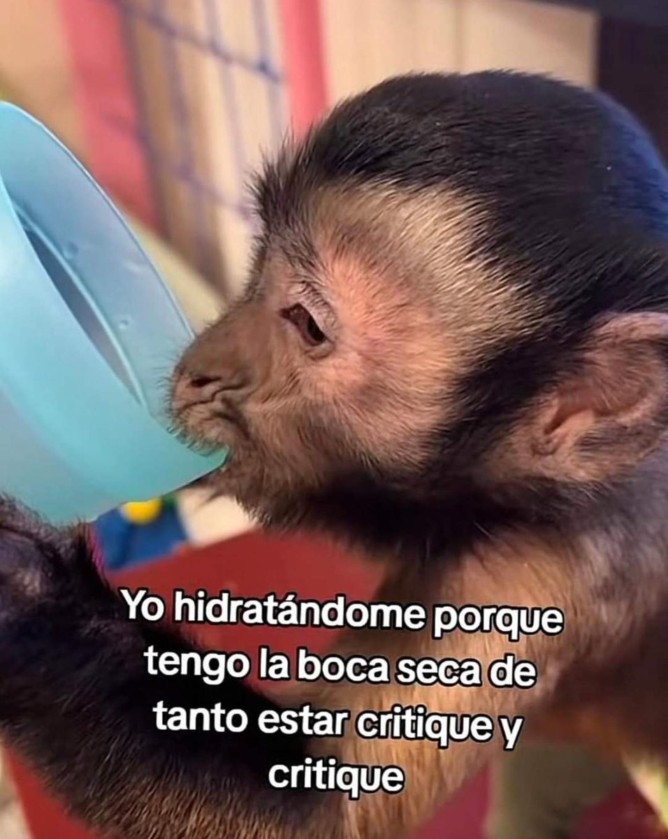 En Júpiter tweet media