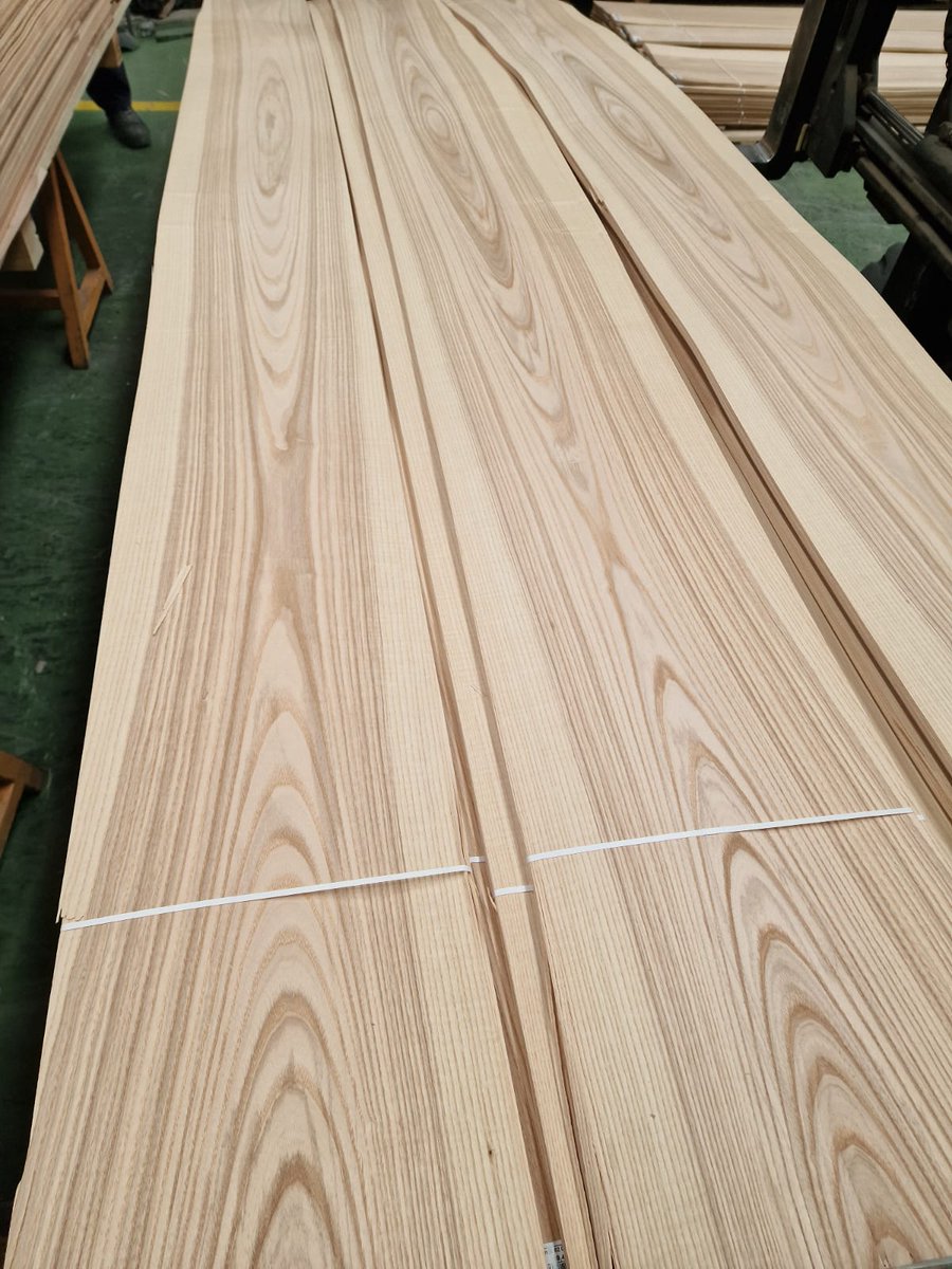 EscaleCesar's tweet photo. Olive Ash https://t.co/MctQ1ewBDF