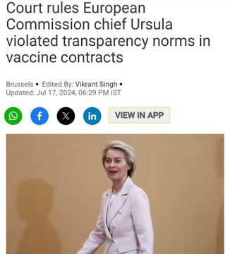 Irudia