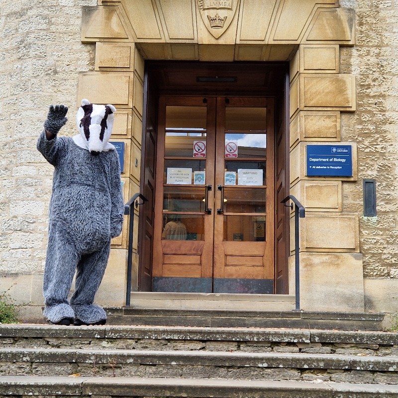 Brilliant to see <a href="/OxonBadgers/">Oxon Badgers</a> hand in a 50,000 strong petition asking the scientists at Oxford Uni to own their flawed science and speak out against the badger cull.

END THE CULL!