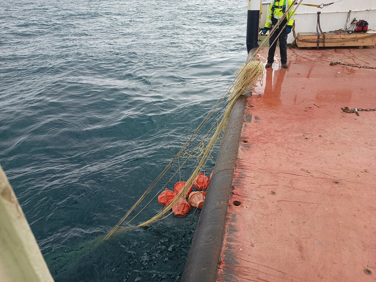 Dr Matt Clark tweet media