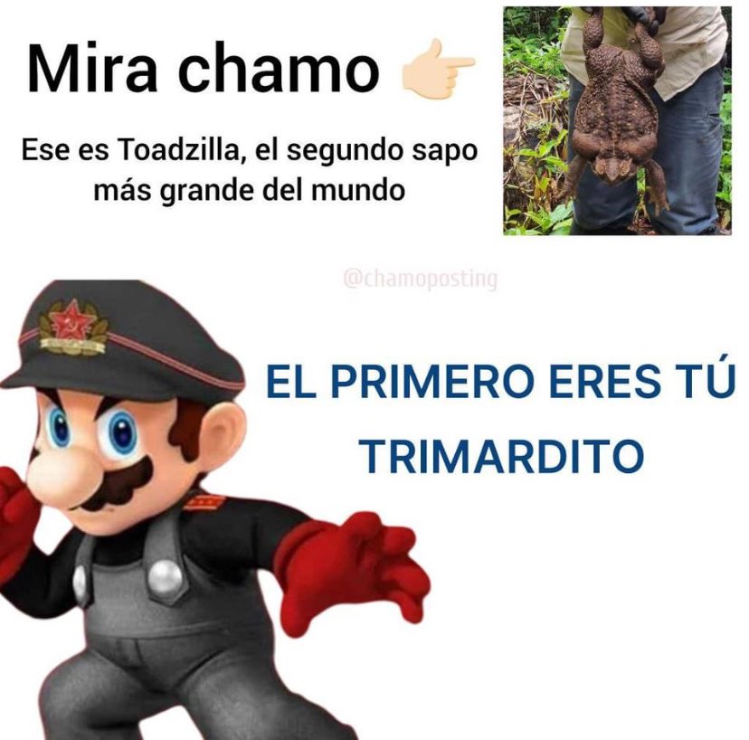 para dedicar 🐰