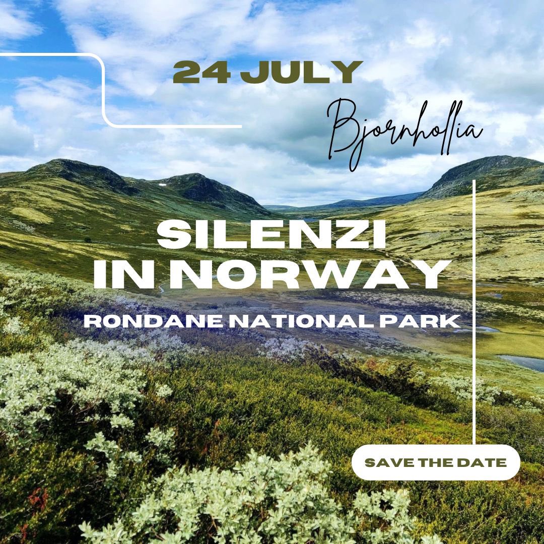 Silenzi in Quota tweet media