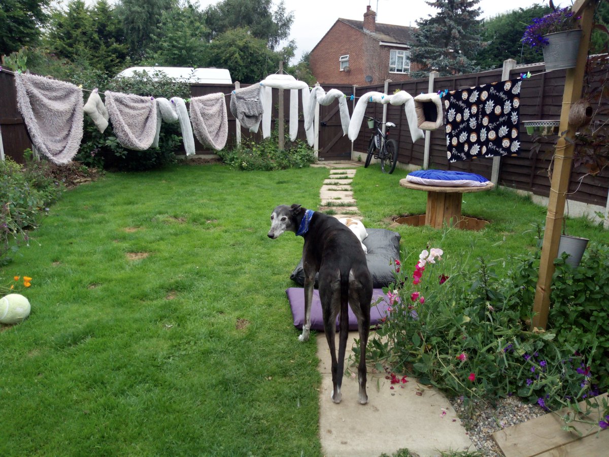 "Where am I supposed to lie now Mum?"

apparently we don't have enough <a href="/AldiUK/">Aldi Stores UK</a> beds