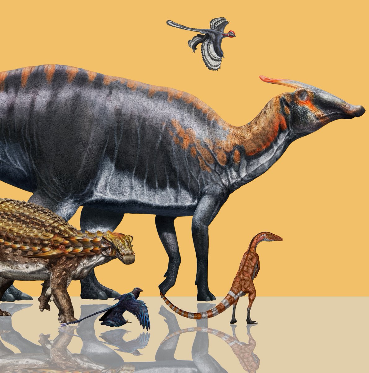 I #dinosauri hanno cambiato aspetto da quando ce li presentò Piero in quel settembre del 1993. Oggi sappiamo che alcuni dinosauri erano piumati! Ed erano coloratissimi! Ne parleremo questa sera con <a href="/albertoangela/">Alberto Angela</a> a #Noos su <a href="/RaiUno/">Rai1</a> alle 21:25. Vi aspettiamo!
🎨 <a href="/d_bonadonna/">Davide Bonadonna</a>