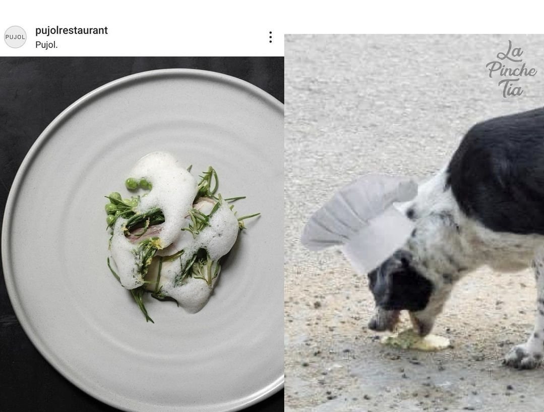 El plato/ El chef