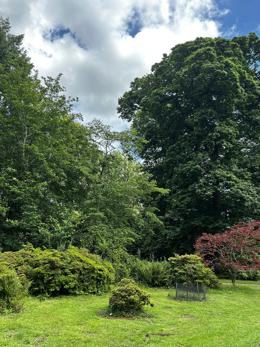 Wonderful day at westonbirt at the #SWAHPMassive 🌳 Lovely to see some familiar faces and also to meet some new ones. A brilliant opportunity to share, connect, and inspire 💡 huge thanks to all those who helped to organise and put on such a brilliant celebration of AHPs 👏🏻