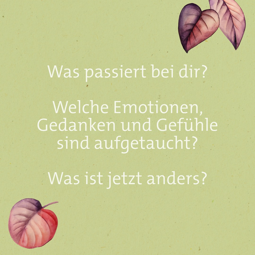 U_Scheuermann's tweet photo. Eine Idee, um dein Leben zu erleichtern: Wenn Wünsche sich nicht erfüllen, ist das schmerzhaft. Aber einige Wünsche werden sich vielleicht nie erfüllen. Um nicht an diesen Wünschen zu leiden, hilft ein Gedankenexperiment. Enttäuschungen &amp; Trauer bewältigen https://t.co/uf1u90xsBU https://t.co/a6FpTB58Uz