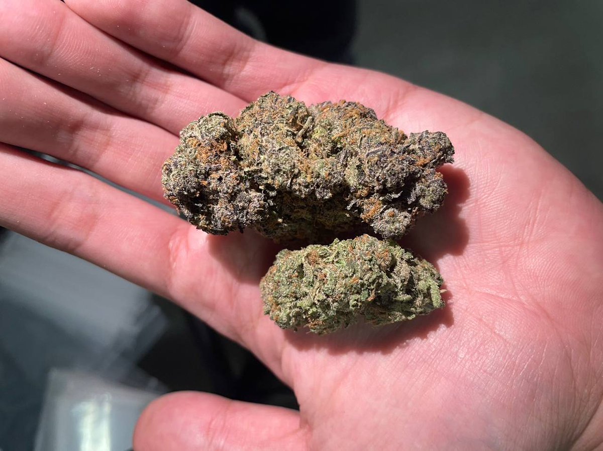 Any south african guys here im a full time indoor and greendoor grower 

0712300378 my whatsapp