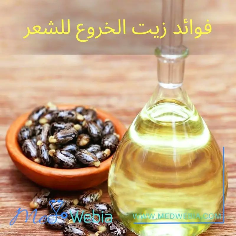 Medwebia's tweet photo. https://t.co/WtiSFwBCbI
مقالنا اليوم عن زيت الخروع وفوائده للشعر❤️

#زيت_الخروع #شعر #تجميل #طب #صحة #ميدويبيا #medwebia https://t.co/UF3ElIuR1k