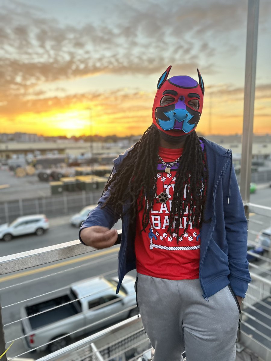 PupSylar's tweet image. Multiple blasts from the past! Here is a few photos from the archives. You may catch me in the wild with this hood on again in the future. 😝😊🐶🐾 #ThrowbackThursday