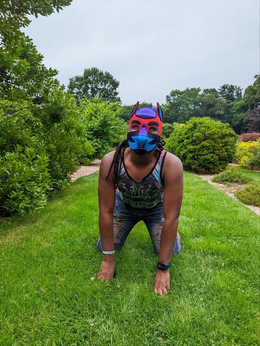 PupSylar's tweet image. Multiple blasts from the past! Here is a few photos from the archives. You may catch me in the wild with this hood on again in the future. 😝😊🐶🐾 #ThrowbackThursday