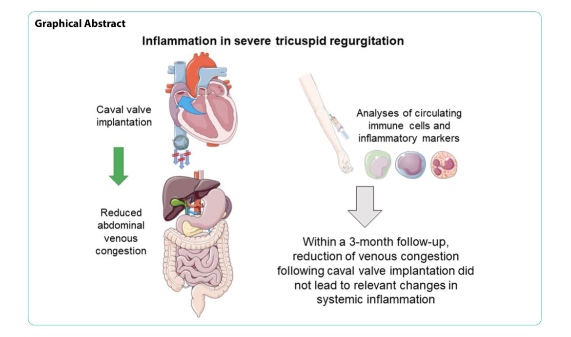 Isabel Mattig tweet media
