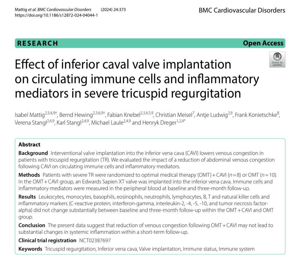 Isabel Mattig tweet media