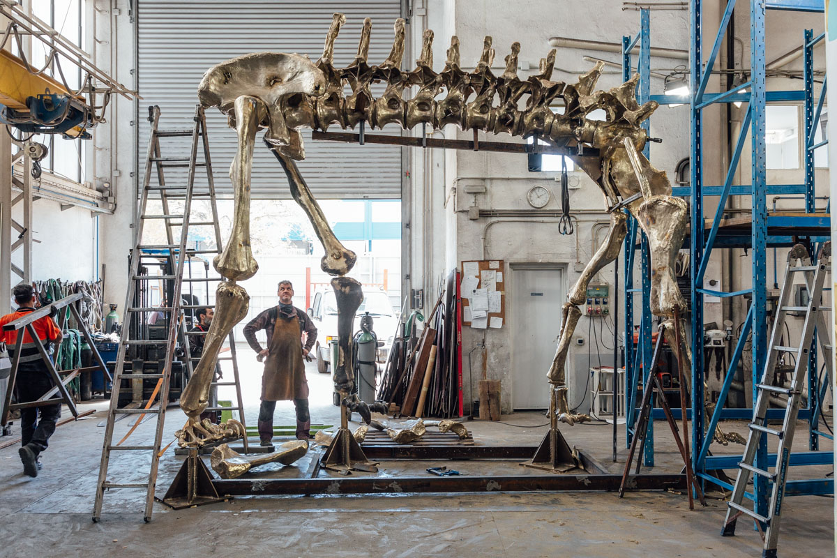 We’re excited to announce that, in collab with the Natural History Museum in London, Factum Arte has created a 21m long bronze replica of the Diplodocus carnegii named Fern. This project was made possible by our team, Fademesa Foundry, and Structure Workshop #UrbanNatureProject