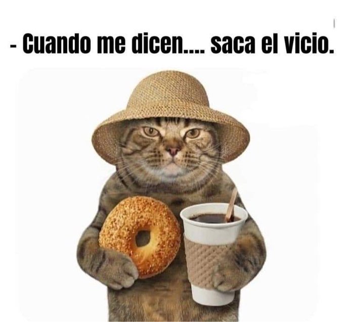 Saquen el vicio 😮&zwj;💨🫣 https://t.co/shrW4vdKie<a href="/tag/sabado"class="tags"><span>#sabado</span></a>