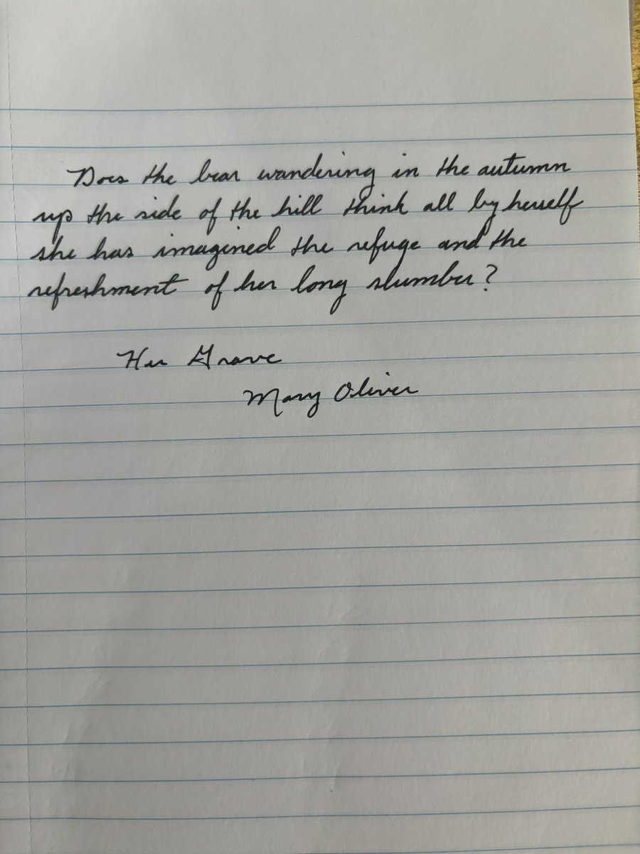 jessewelles tweet media