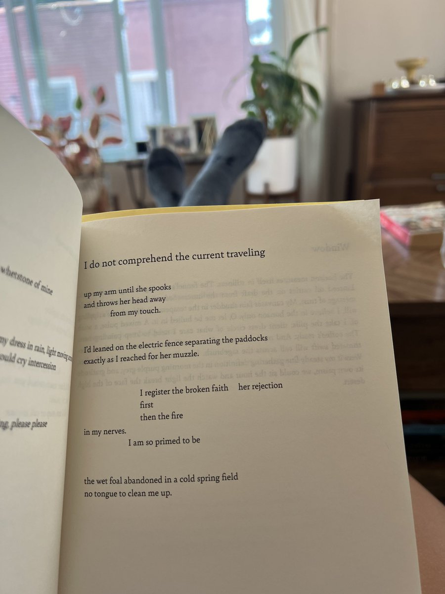 Emily Doyle tweet media