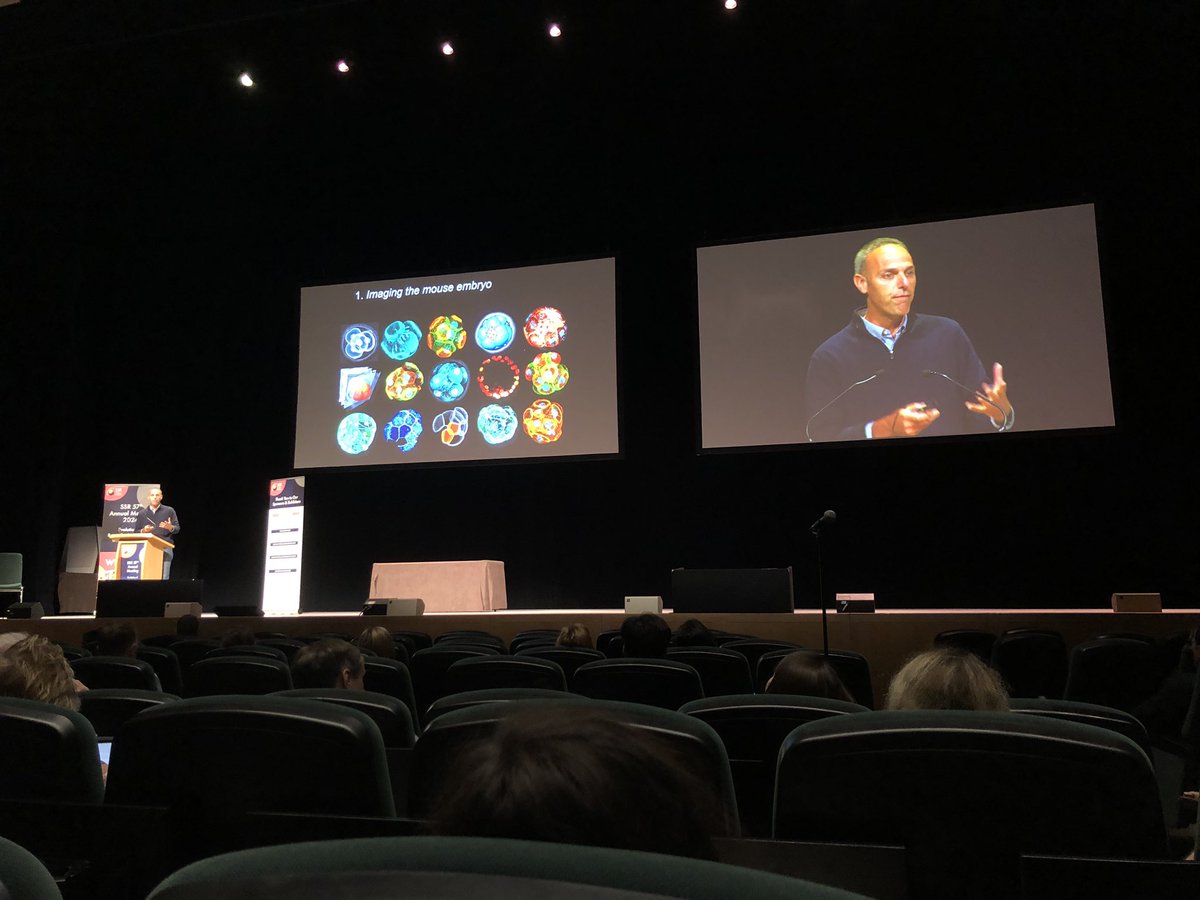 Treat number 2 at the #SSR2024 
Nicolas Plachta

When science is beautiful 🤩 

<a href="/SSRepro/">SSR</a>