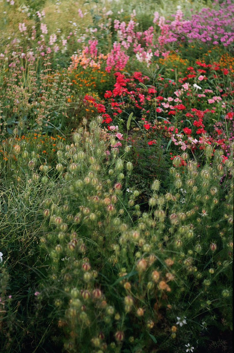 officesevenn's tweet image. 