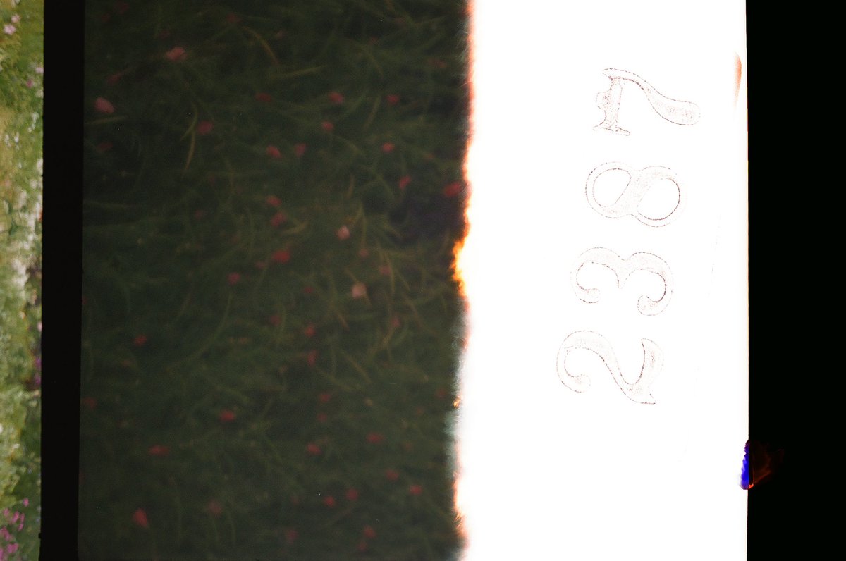 officesevenn's tweet image. 